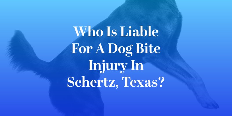 Who Is Liable for a Dog Bite Injury in Schertz, Texas?