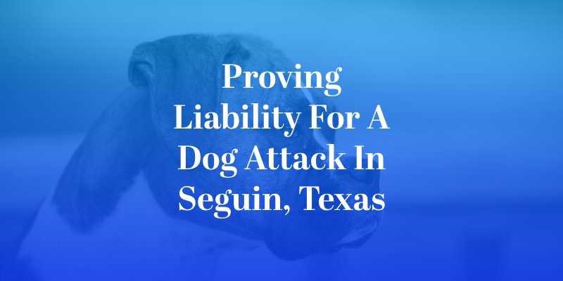 Proving Liability for a Dog Attack in Seguin, Texas