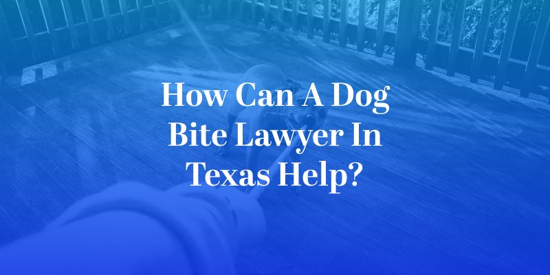 How Can a Dog Bite Lawyer in Texas Help?